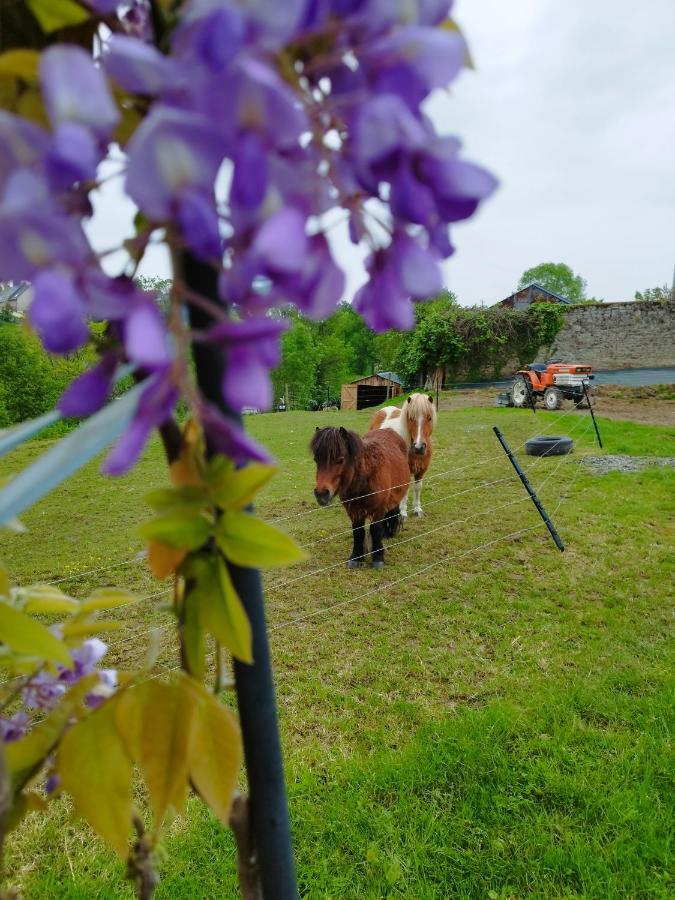 Le Domaine De Pivette Chambre Climatisee Et Insolite Avec Terrasse Privative 阿夫朗什 外观 照片